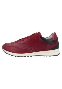 Josef Seibel THADDEUS Baskets Basses Red Homme